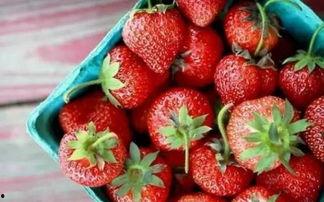 草莓国产老司机视频,揭秘草莓种植的奥秘与技巧  第2张