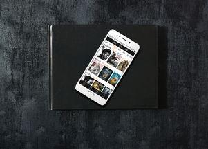 国产积木视频app,视频APP带你领略创意无限的世界  第2张